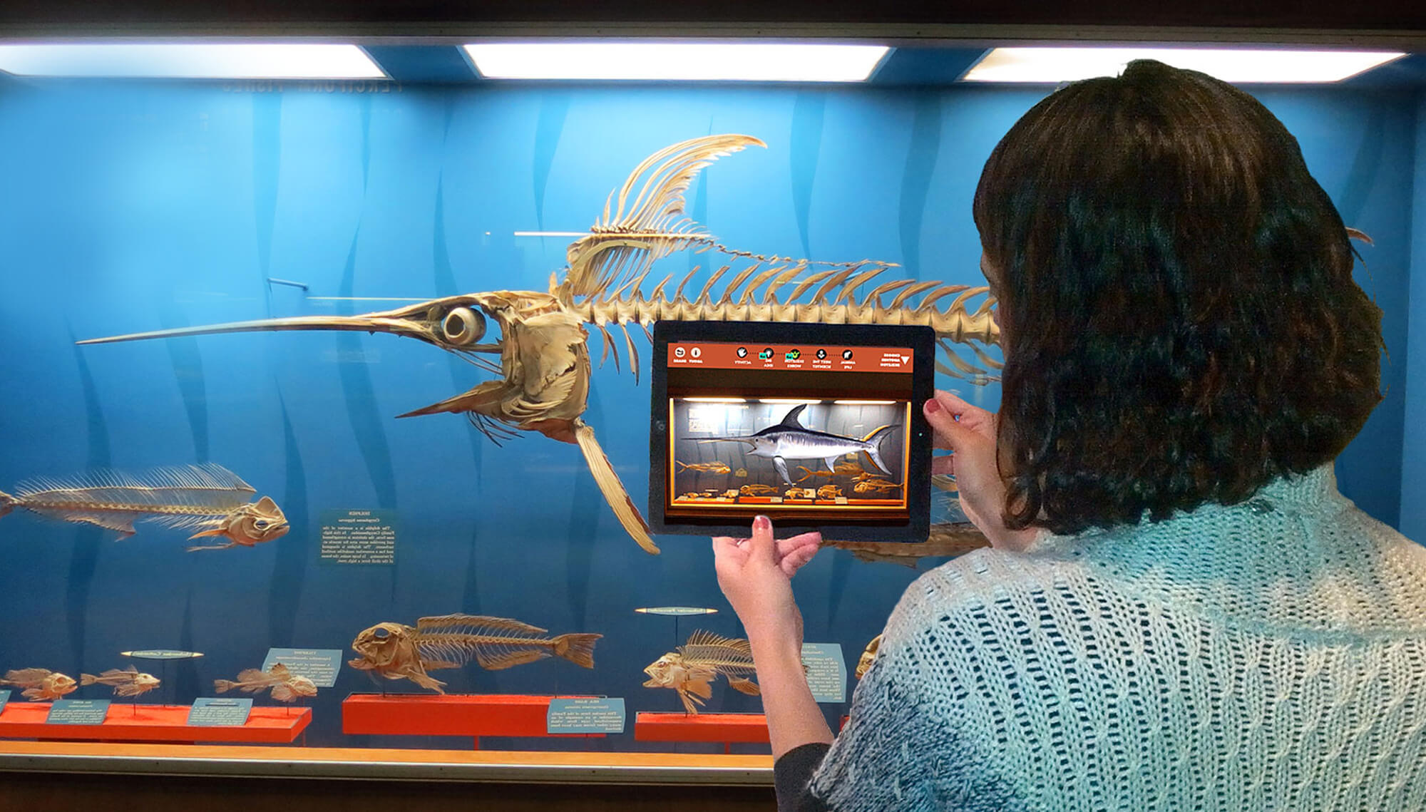 Augmented Reality App Development Augmented Reality App Development